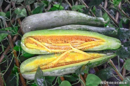 各种网红爆料在线吃瓜,在线吃瓜盛宴,揭秘娱乐圈幕后风云 第3张 各种网红爆料在线吃瓜,在线吃瓜盛宴,揭秘娱乐圈幕后风云 第3张